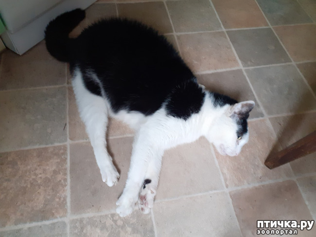 ���� 1: ����... ���� ���� �� ������.