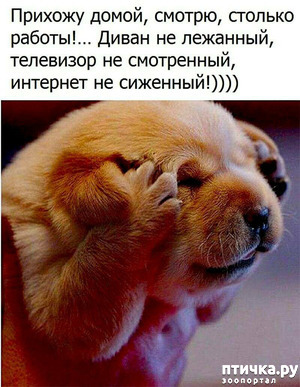 фотография: Улыбнитесь, друзья! фото: Улыбнитесь, друзья!