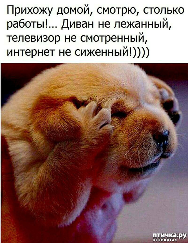 ���� 1: ����������, ������!