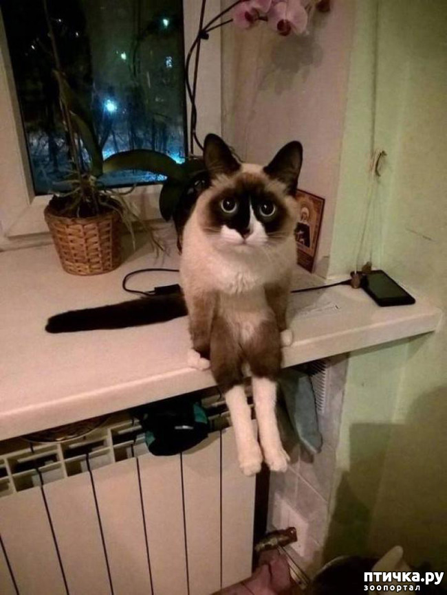 ���� 1: ������, � ���� � ���� ���� ������������ ���������! ����� �������..?