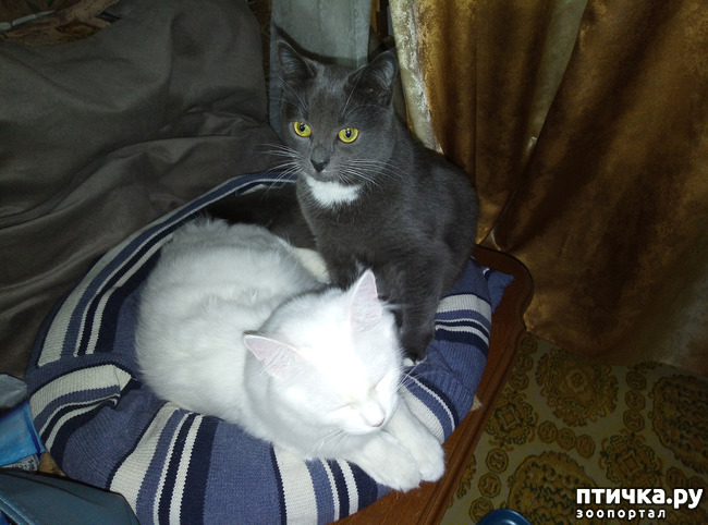 ���� 1: ��������� ���������