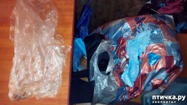 ���� 2: ��������� ���������