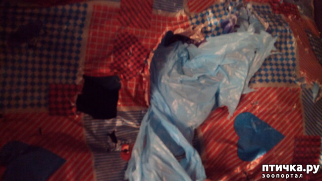 ���� 3: ��������� ���������