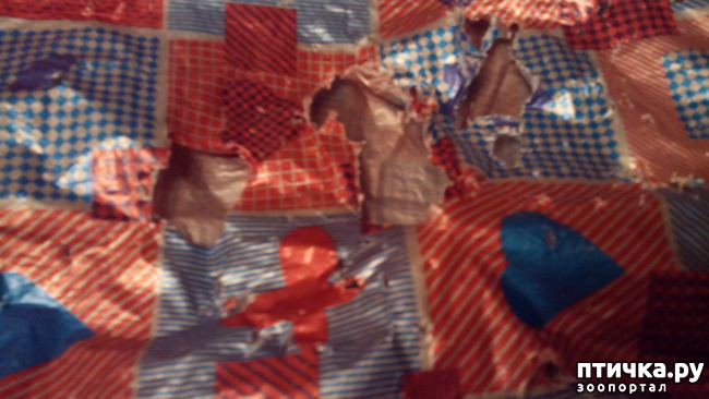 ���� 4: ��������� ���������