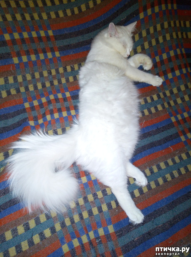 ���� 5: ��������� ���������