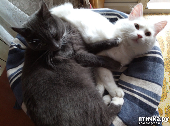 ���� 6: ��������� ���������