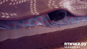 ����: ���������������