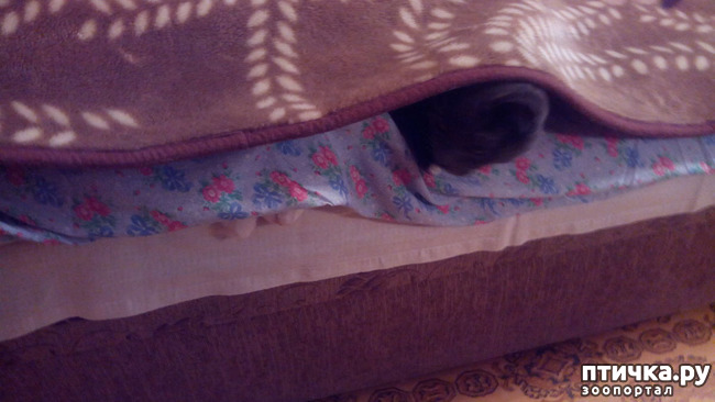 ���� 1: ���������������