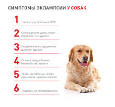 фотография: ЧТО ТАКОЕ ЭКЛАМПСИЯ И КАК С НЕЙ БОРОТЬСЯ.. фото: ЧТО ТАКОЕ ЭКЛАМПСИЯ И КАК С НЕЙ БОРОТЬСЯ..