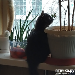 ����: �������� �� ���������.