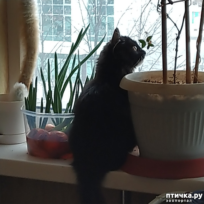 ���� 1: �������� �� ���������.