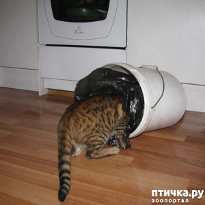 ����: �� ����� ������...