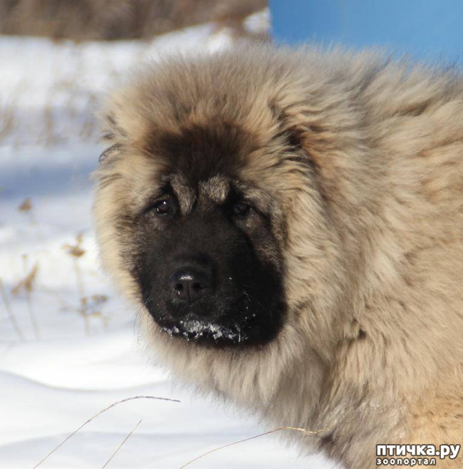 ���� 3: ������� 