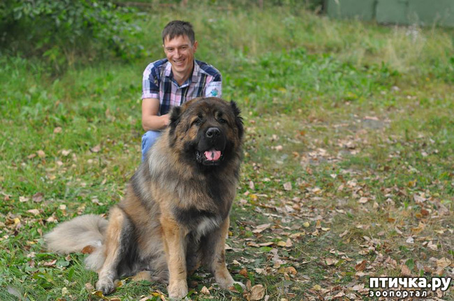 ���� 5: ������� 