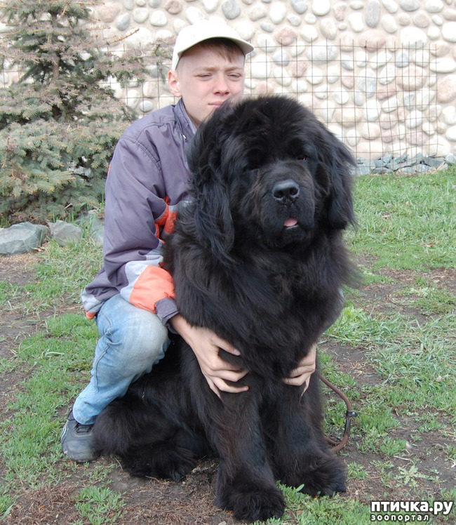 ���� 1: ������� 