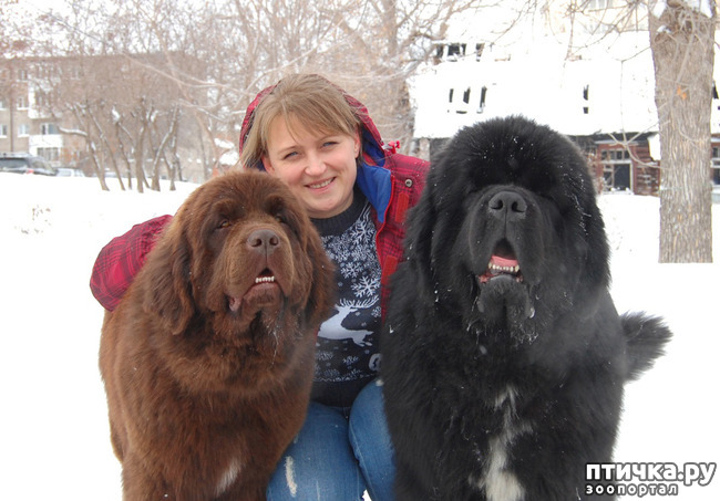 ���� 2: ������� 