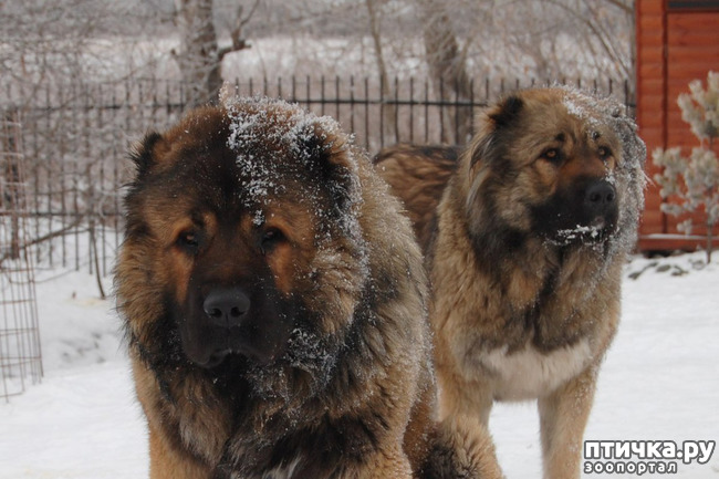 ���� 4: ������� 