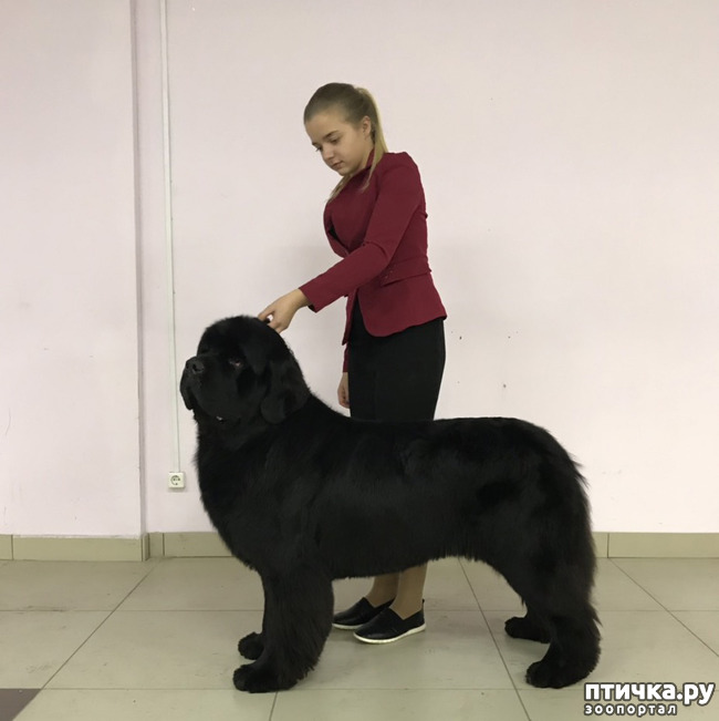 ���� 6: ������� 