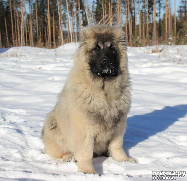 ���� 7: ������� 