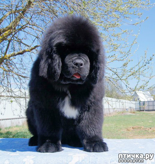 ���� 8: ������� 