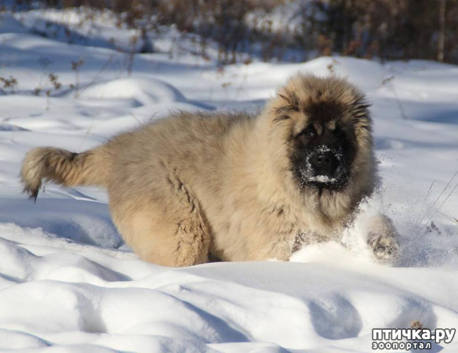 ���� 9: ������� 