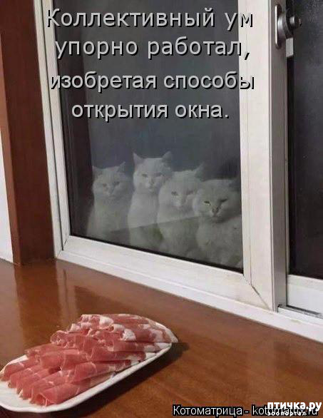  3:      