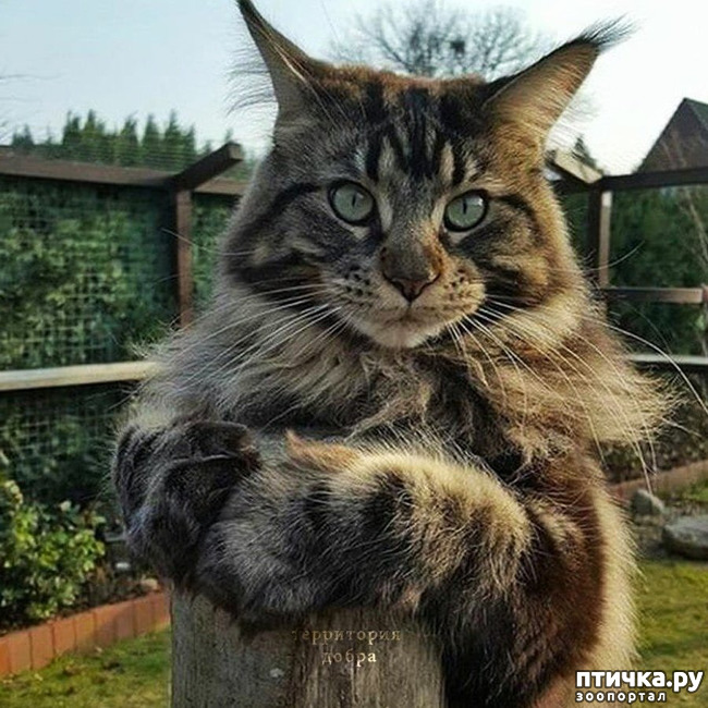 ���� 1: ��� �� ������� ��� ��������� (������� � ����������� ���������)