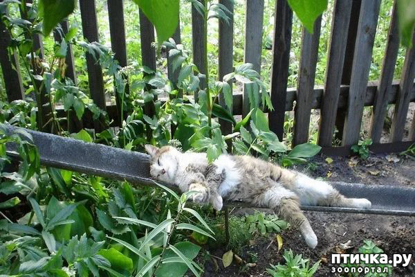 ���� 1: �� � �� ������ ��� ������, ���� ��������!?