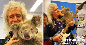 фотография: И потискал, и сыграл! фото: И потискал, и сыграл!