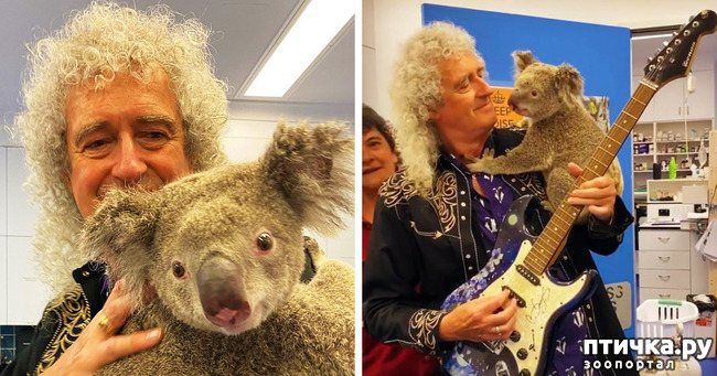 ���� 1: � ��������, � ������!