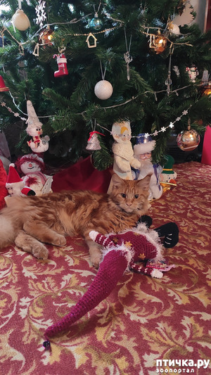 ����: � ����� "�������"))