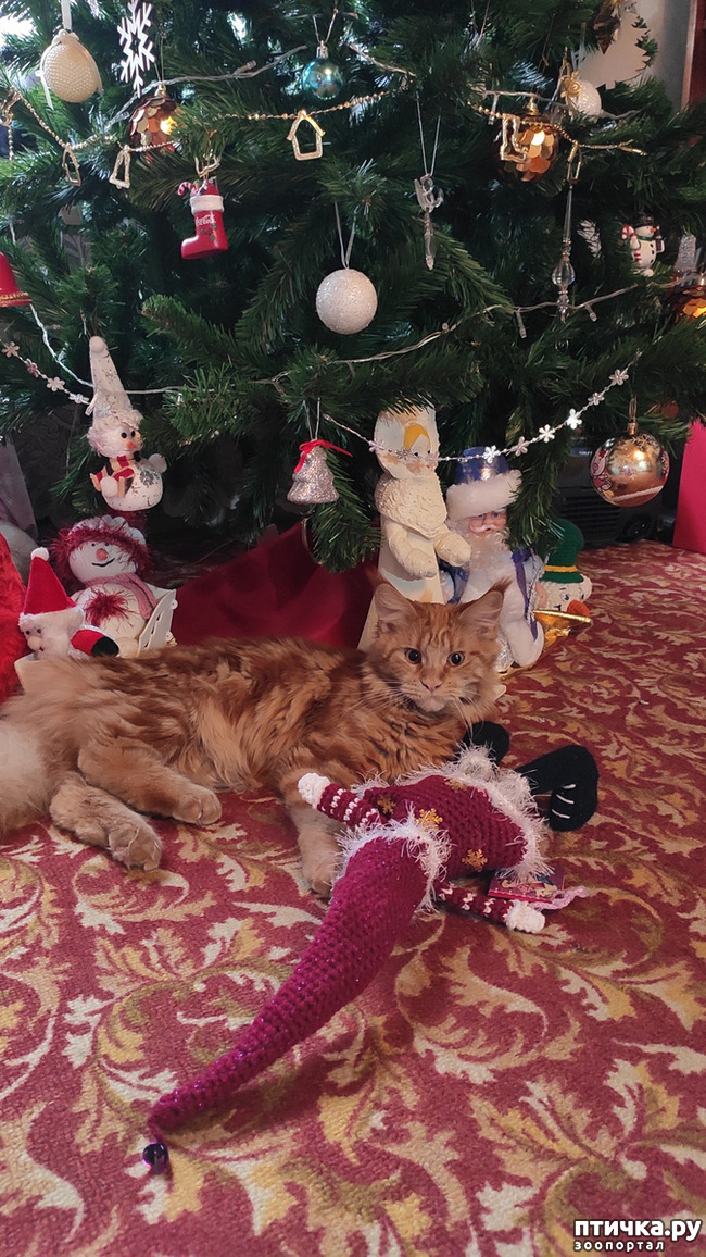 ���� 1: � ����� 