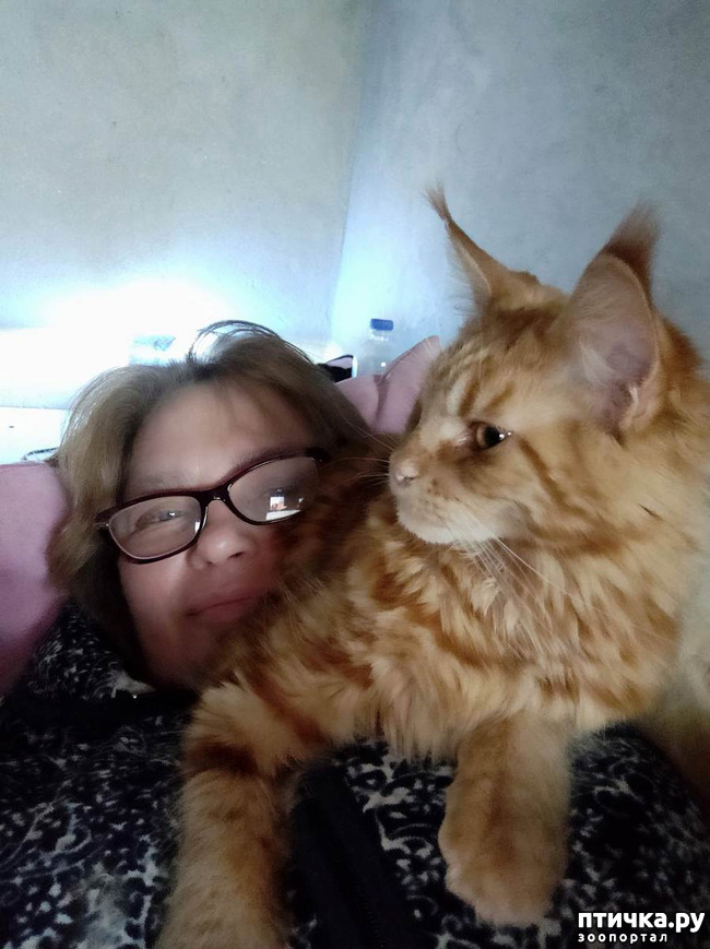 ���� 7: � ����� 