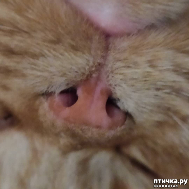 ���� 10: � ����� 