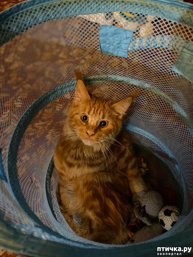 ���� 2: � ����� 