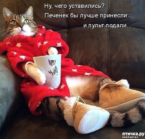 ���� 1: ������� �����