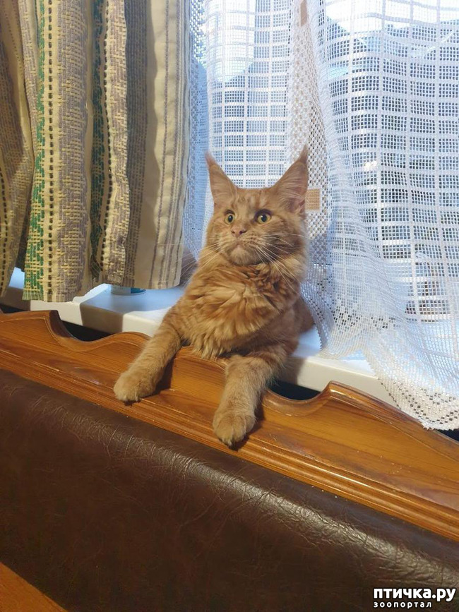 ���� 3: � ����� 