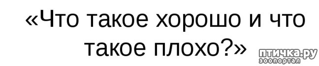 ���� 1: ��� ����� ������ � ��� ����� �����?