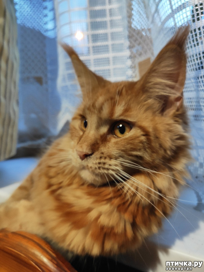 ���� 4: � ����� 