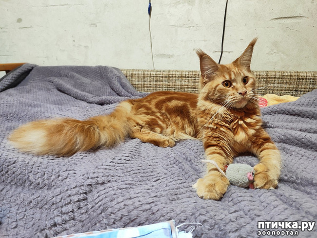 ���� 5: � ����� 