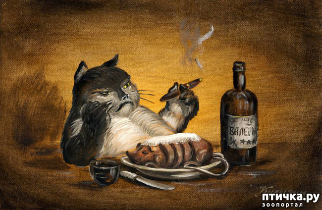 ���� 3: ��� ����� ������ � ��� ����� �����?