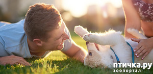 ����: ����� ������ ��� �������� �� ����� �������?