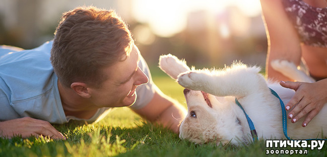 ���� 1: ����� ������ ��� �������� �� ����� �������?