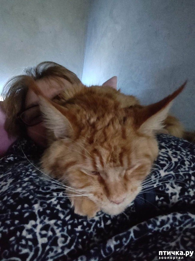 ���� 8: � ����� 