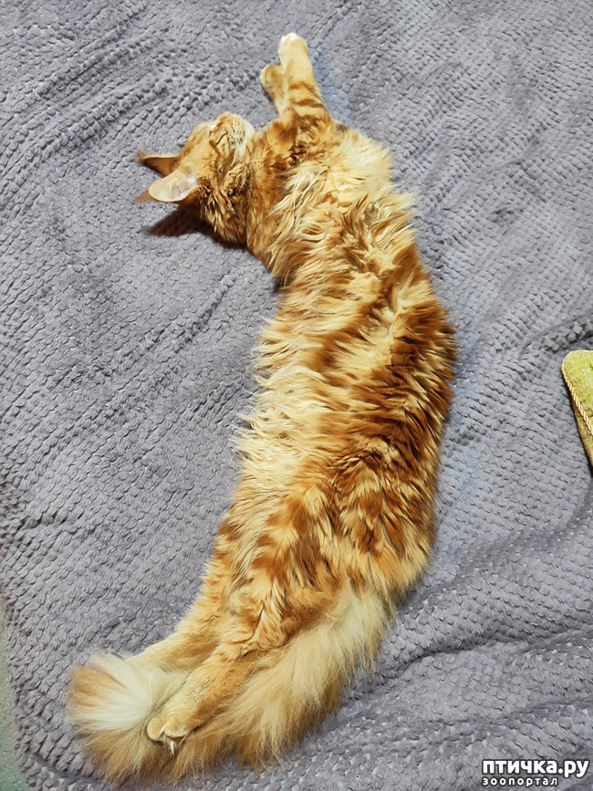 ���� 9: � ����� 