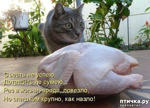 ���� 1: ������� �����