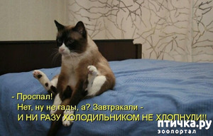 фотография: Немного юмора фото: Немного юмора