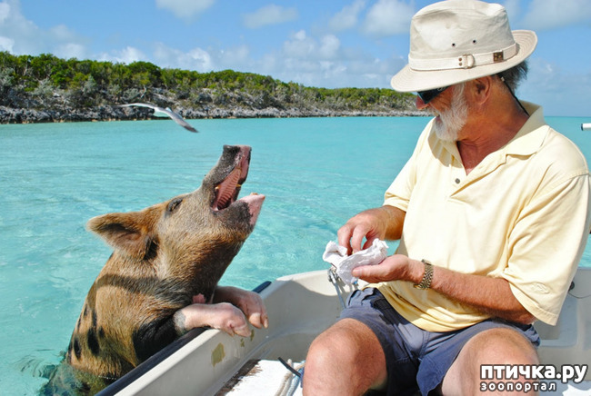 ���� 10: ��������� ��������.