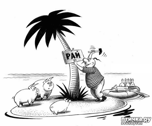 ���� 2: ��������� ��������.