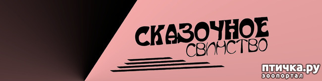 ���� 1: ��������� ��������.